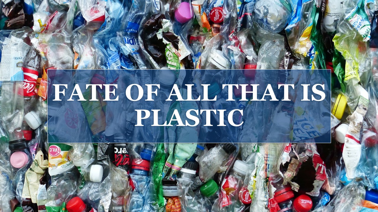 Fate of All That is Plastic Fit 'N Seal™ Sustainable Products